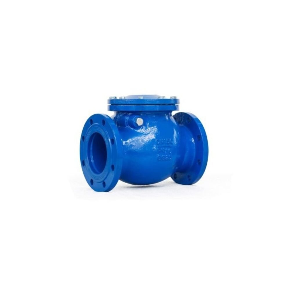 Swing check Valves