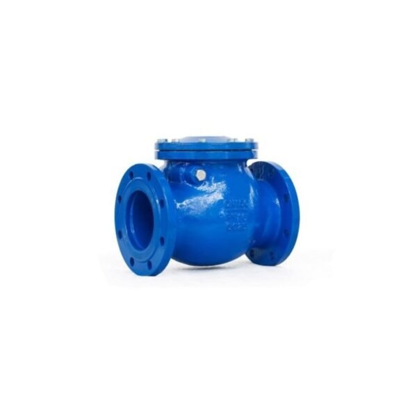Swing check Valves