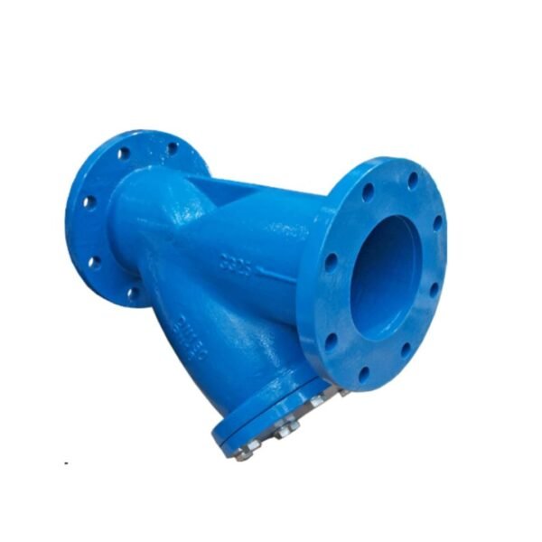 Y Strainers